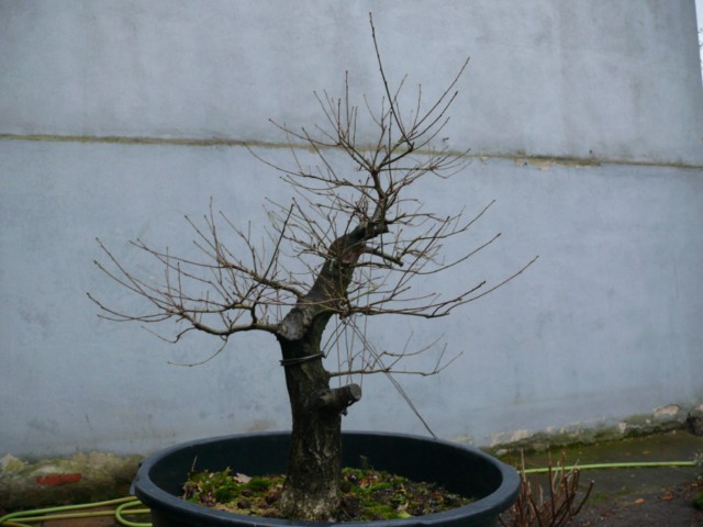 P1080487 [640x480].JPG