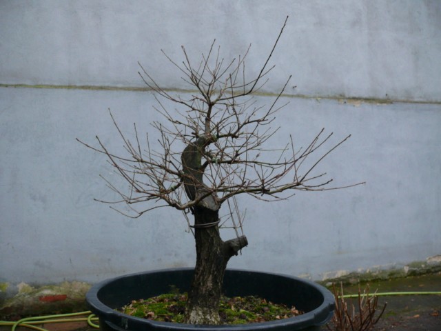 P1080488 [640x480].JPG