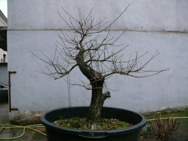 P1080492 [640x480].JPG