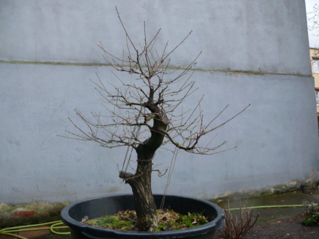 P1080501 [640x480].JPG