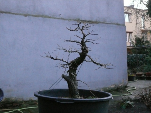 P1080816 [640x480].JPG