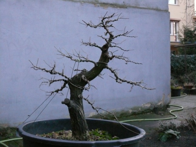 P1080818 [640x480].JPG