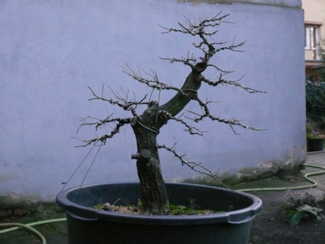 P1080820 [640x480].JPG