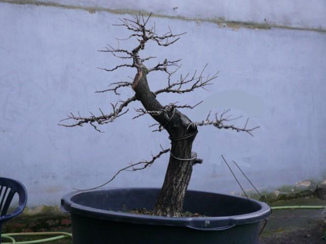 P1080801 [640x480]c.jpg