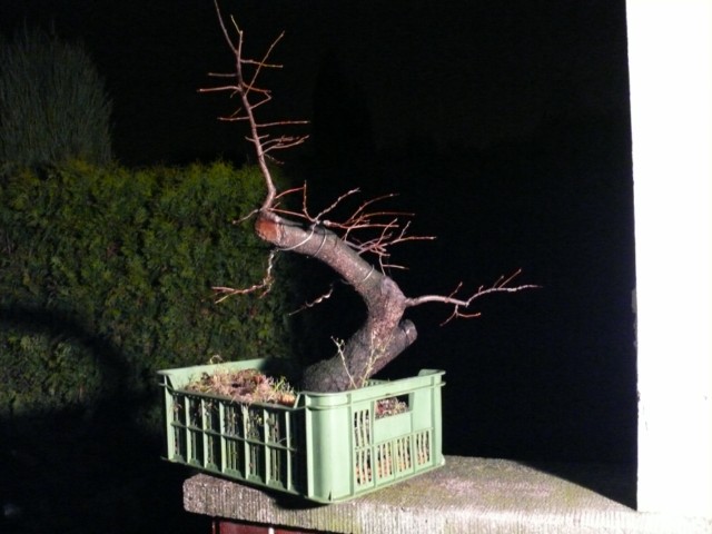 P1080536 [640x480].JPG