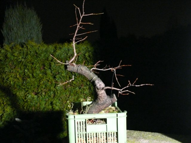 P1080538 [640x480].JPG