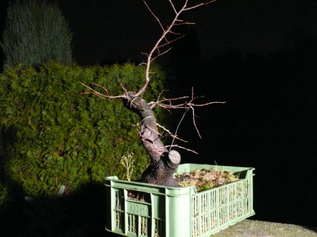 P1080540 [640x480].JPG