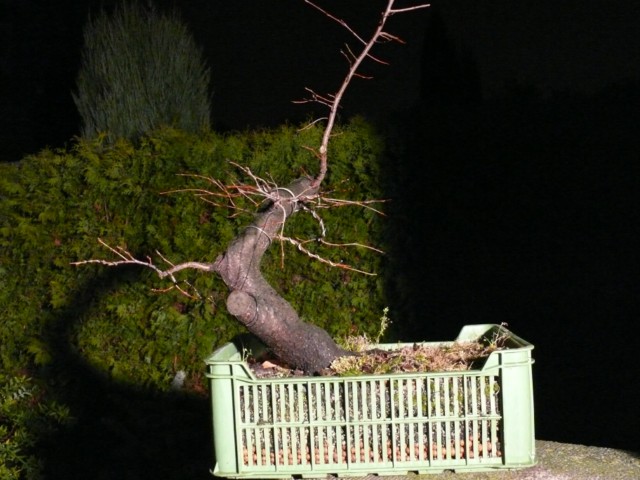 P1080541 [640x480].JPG