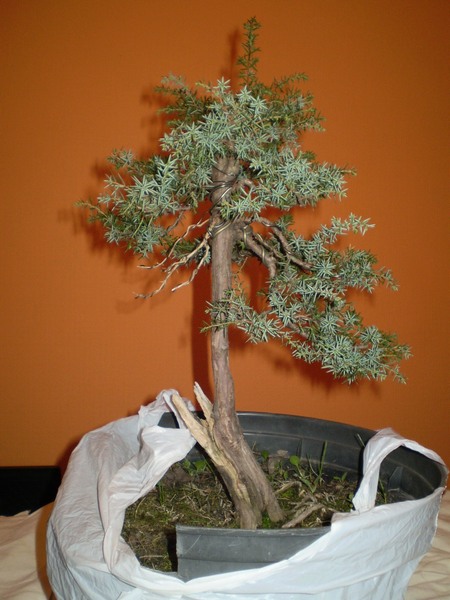 04 - 2010 rok na wiosne.JPG