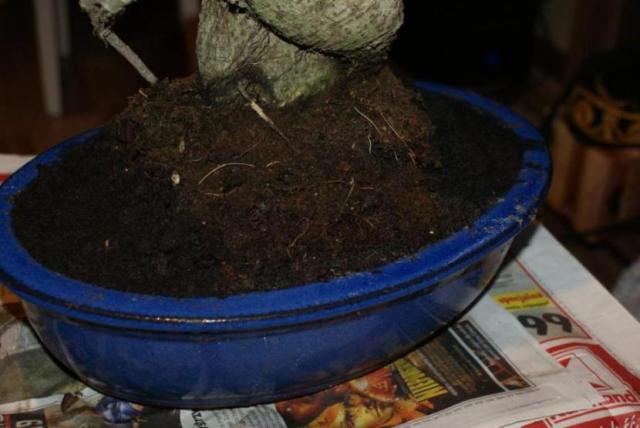 Ziemia - ile się dało i jak się dało zmieniłem co mogłem