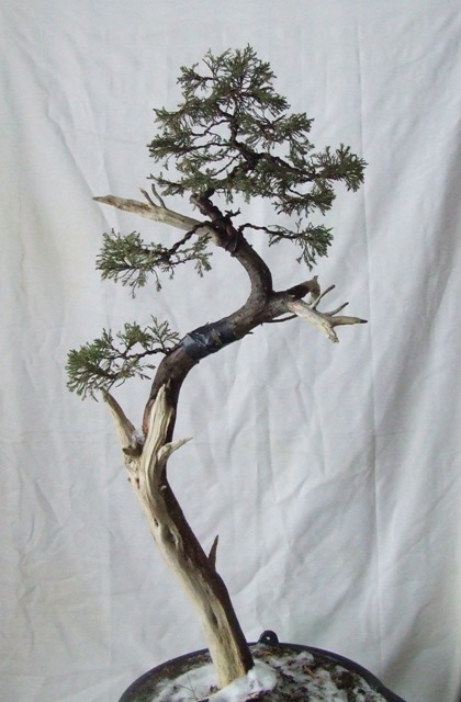 2 formowanie 21.11.2010