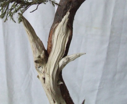 próby z shari i Jin ( używałem tylko kleszczy) te dwie rzeczy bedą jeszcze dopracowywane!