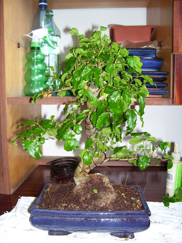 Po zakupie niecałe 2 lata temu!