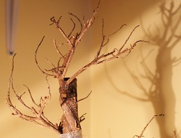 tak wygląda teraz :(