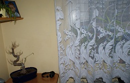 znajduje się w tym miejscu