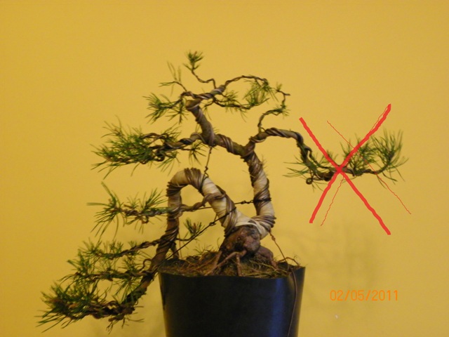 w przyszłości do usunięcia