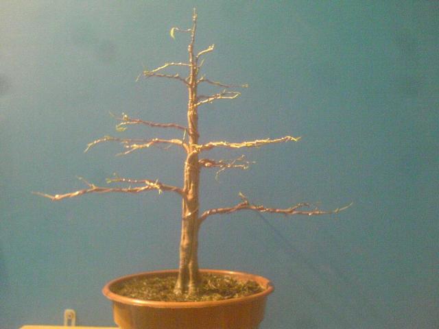 Po defoliacji i formowaniu