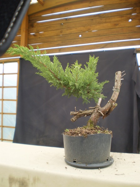 Materiał przed formowaniem