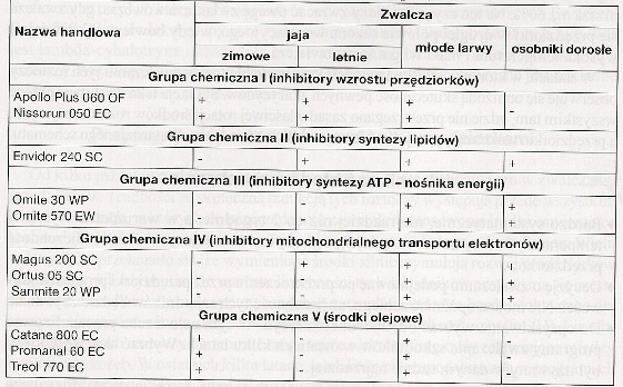 Kopia przedziorki0001.jpg