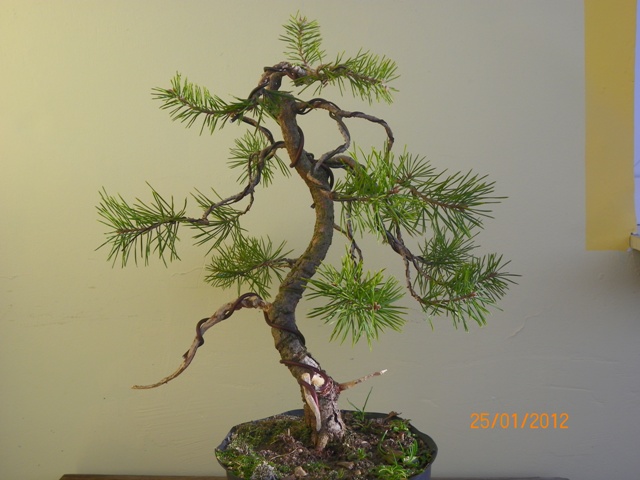 myślę, że tu będzie front