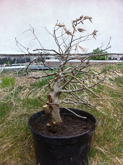 Myślę że najciekawszy:)