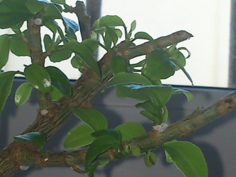 1334941562359 [Rozdzielczość Pulpitu].jpg