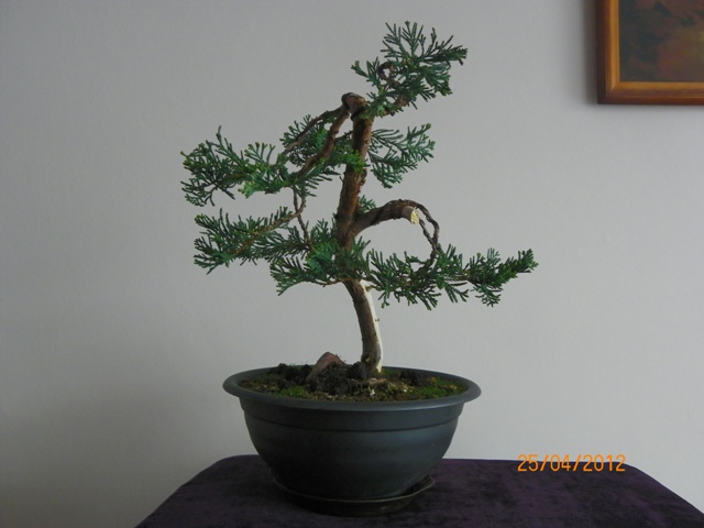 100_3480 - Kopia.JPG