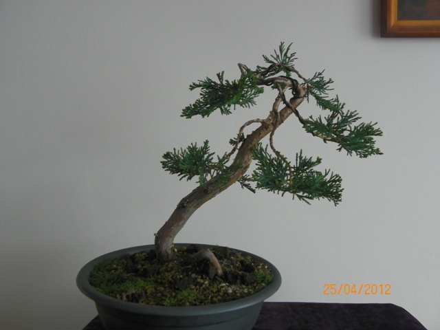 100_3481 - Kopia.JPG