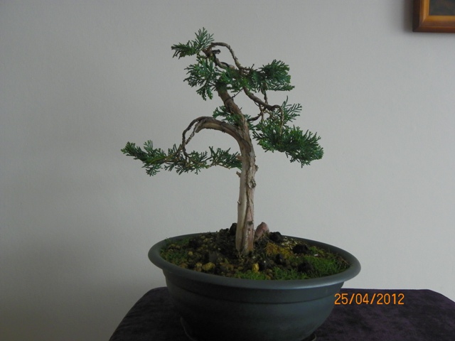 100_3482 - Kopia.JPG