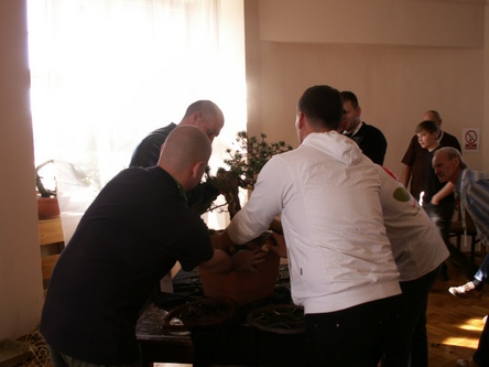 Pięciu dużych facetów i jedna biedna sosna