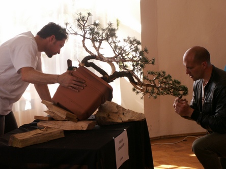 Tworzenie wymaga poświęceń