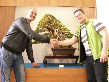 Czyżby Panowie dokonali transakcji i 300-tu letni cis zostanie w Polsce?