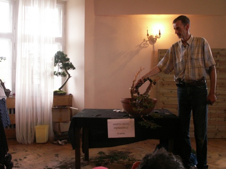 Jałowiec Marty i Jacka