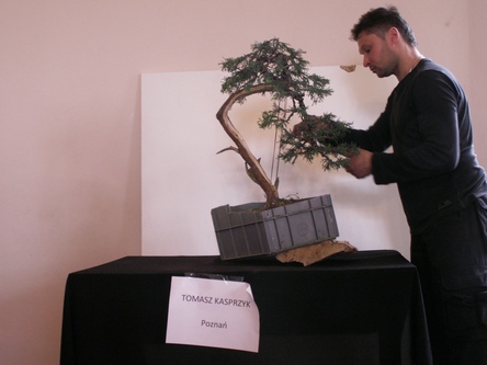 Wielkopolska dokładność Tomka