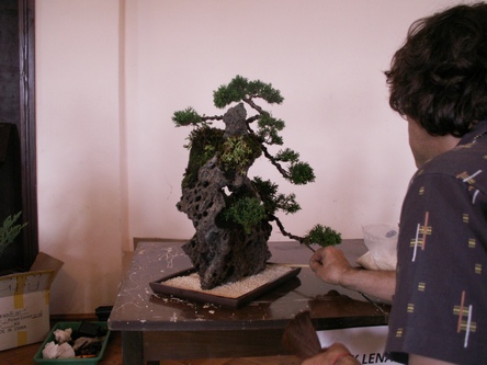 Lekkie dopieszczenie i dzielo skończone