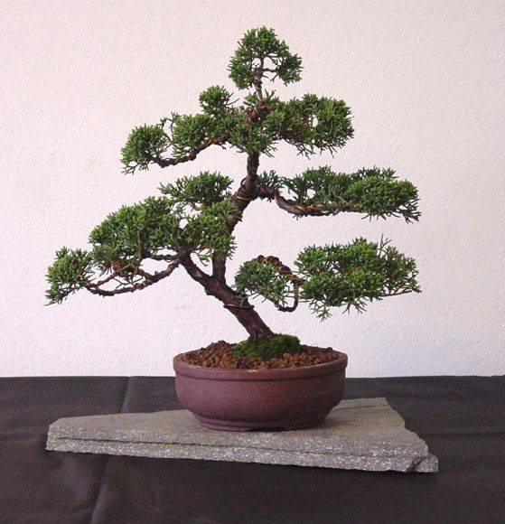 Tutaj cos co pomoÂże Ci w 1wszym ksztaÂłtowaniu;)