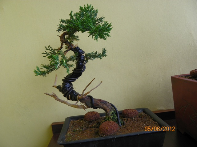 100_3688 - Kopia.JPG