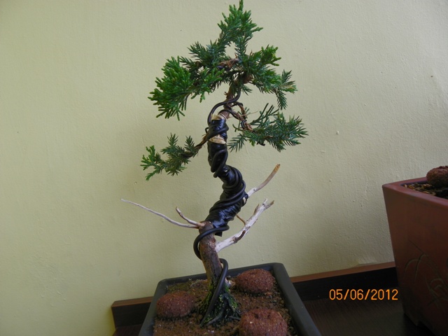 100_3689 - Kopia.JPG