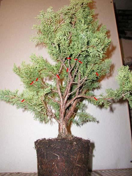 ...mniej wiĂŞcej w ten sposĂłb