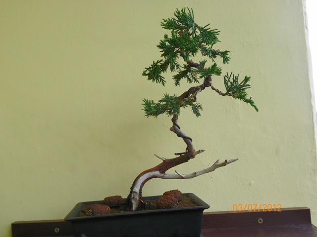 100_3757 - Kopia.JPG