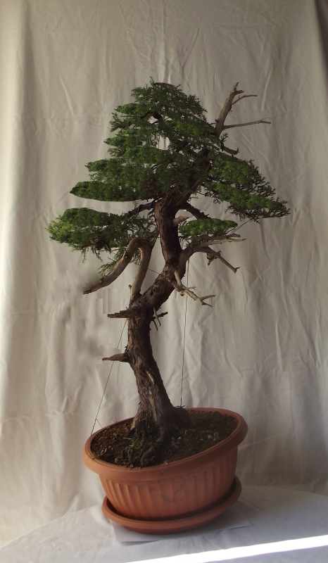 Za kilka sezonów? :-)