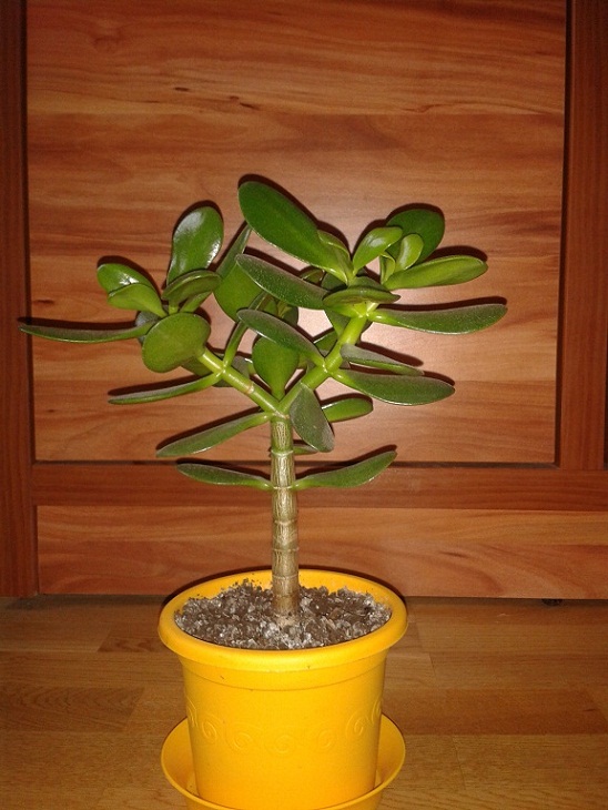 2012-10-27 14.22.09.jpg