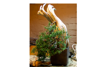 Zrzut ekranu 2012-11-16 (godz. 02.04.53).png