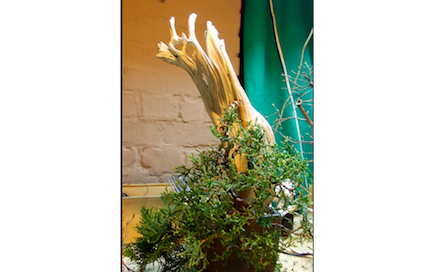 Zrzut ekranu 2012-11-16 (godz. 02.05.30).png