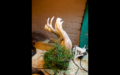 Zrzut ekranu 2012-11-16 (godz. 02.05.59).png