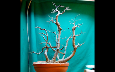 Zrzut ekranu 2012-11-27 (godz. 12.29.27).png