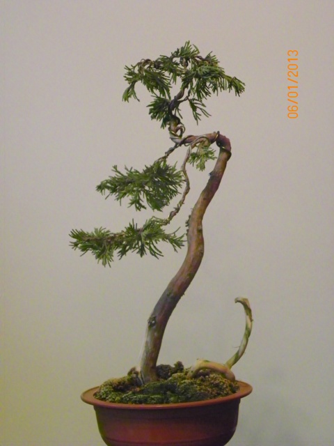 100_4349 - Kopia.JPG