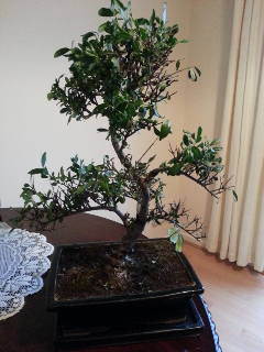 2013-01-27 09.56.52.png