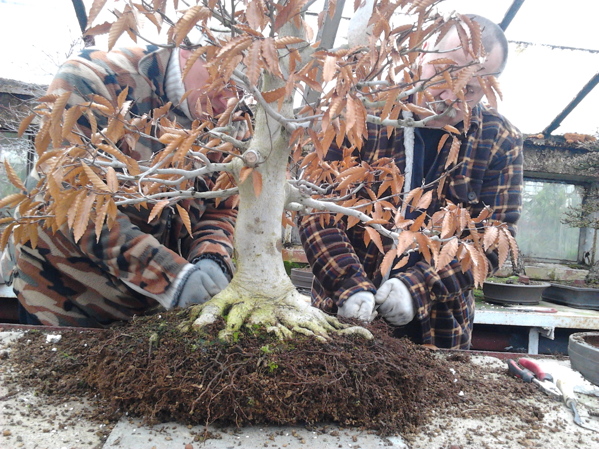 2013-03-28 12.04.45.jpg