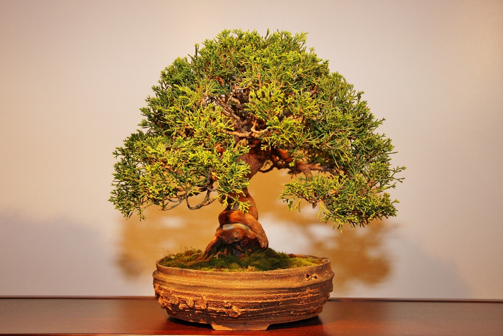 IMG_5191 (1024x683).jpg